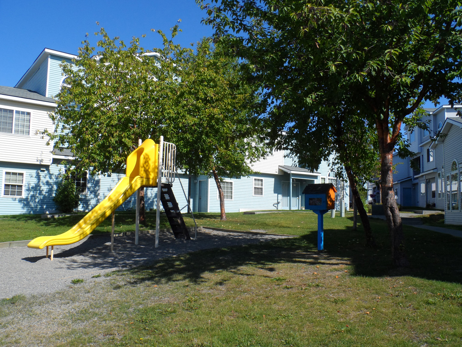 Photos and Video of Spruce View in Anchorage, AK